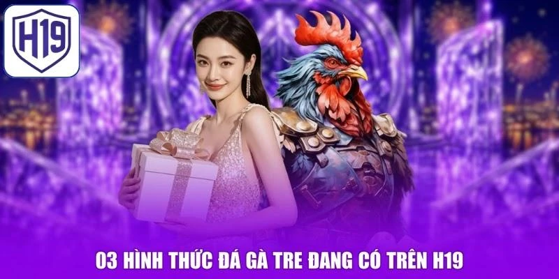 03 hình thức đá gà Tre đang có trên H19