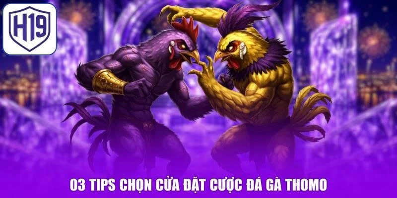 03 tips chọn cửa đặt cược đá gà Thomo