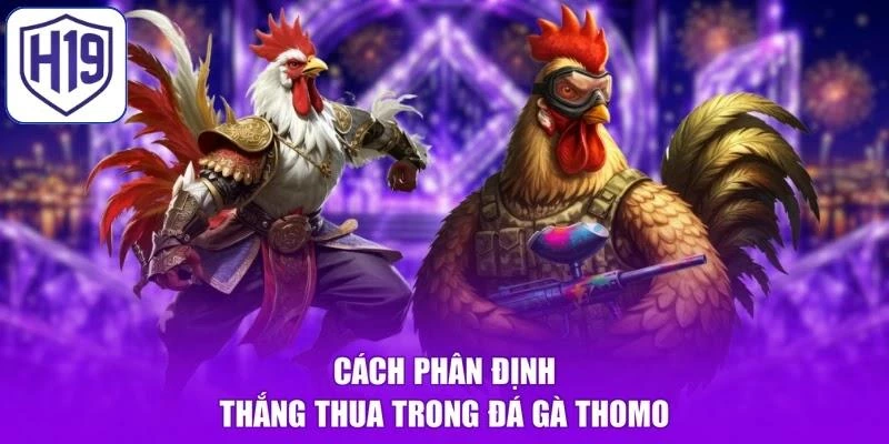 Cách phân định thắng thua trong đá gà Thomo