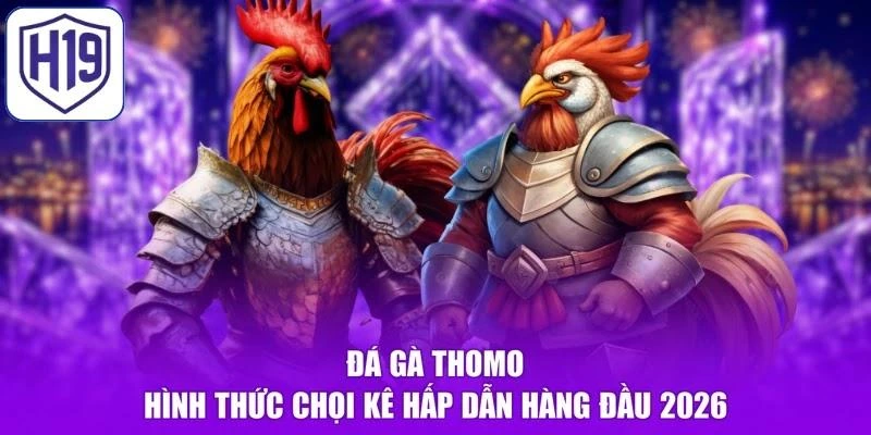 Đá Gà Thomo - Hình Thức Chọi Kê Hấp Dẫn Hàng Đầu 2026