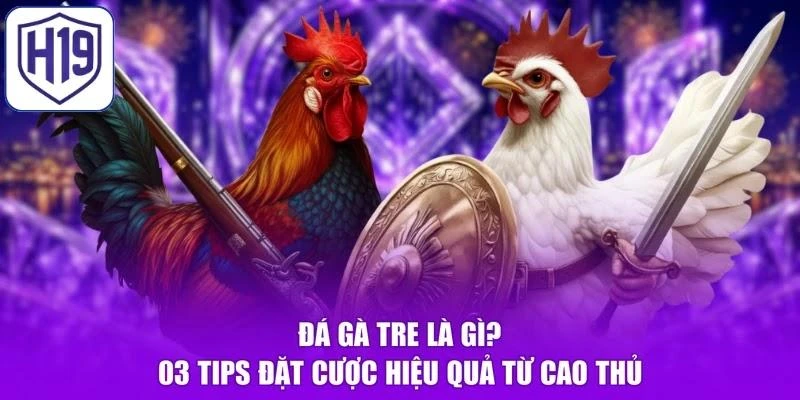 Đá Gà Tre Là Gì? 03 Tips Đặt Cược Hiệu Quả Từ Cao Thủ