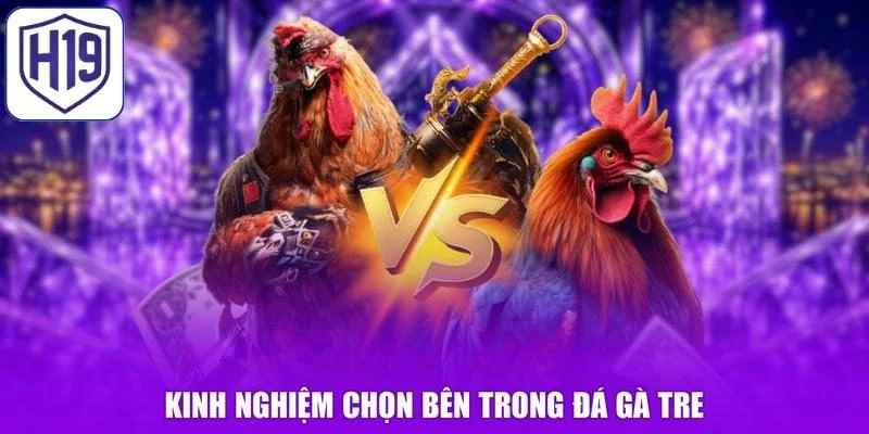 Kinh nghiệm chọn bên trong đá gà Tre